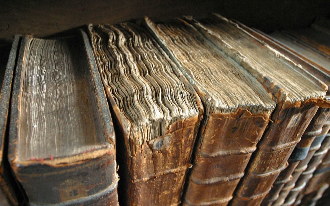 Washington County, NY Book of Forfeitures, 1784