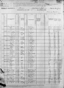 Sample page taken from the 1880 United States Census for Adams New York