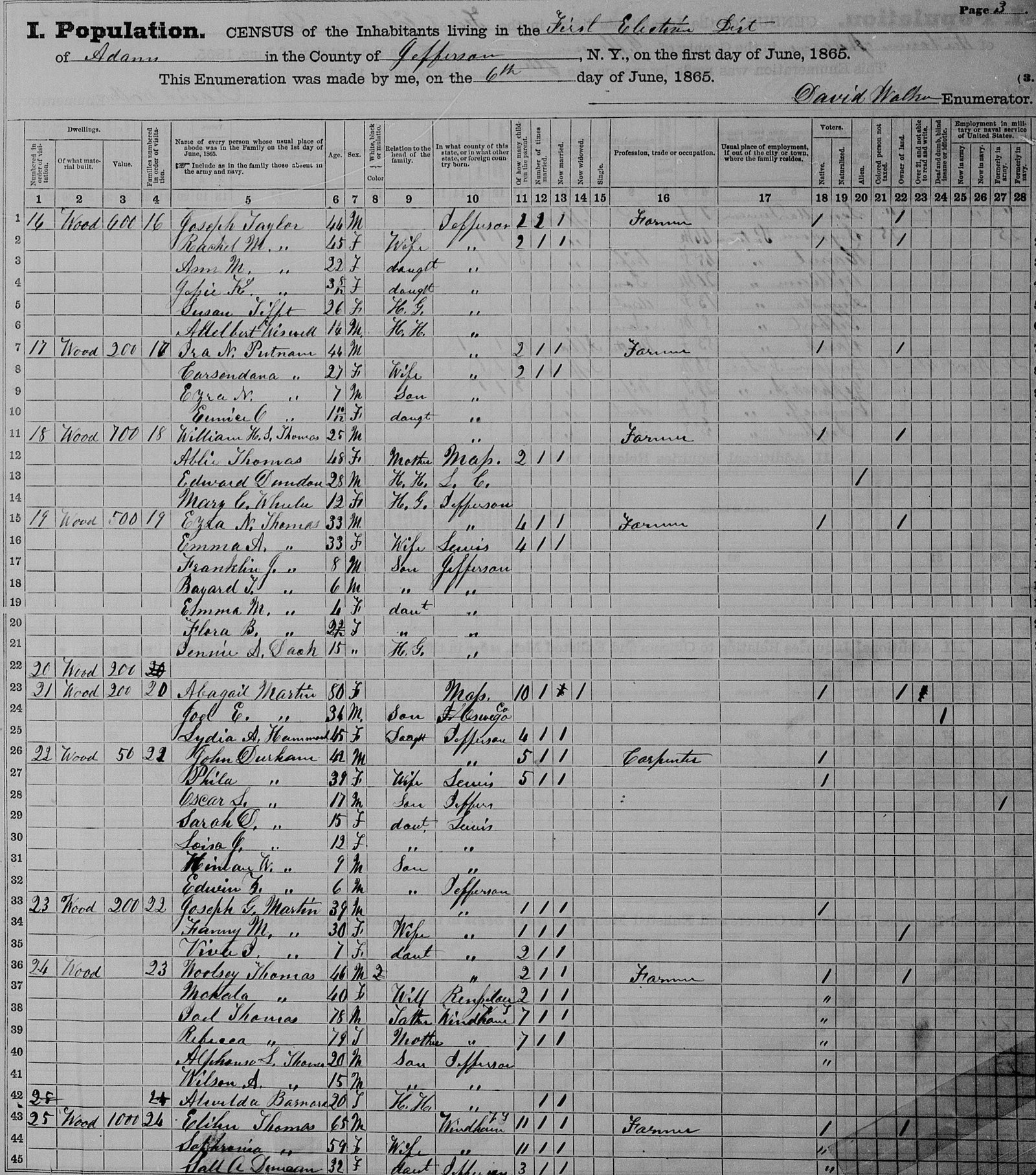 1925 new york census free