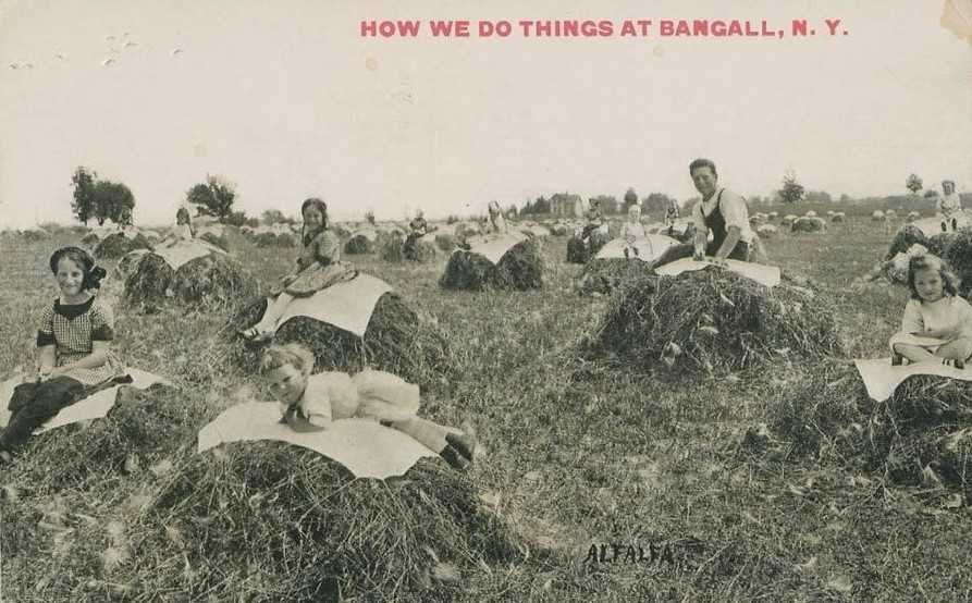 How we do things at Bangall NY Postcard