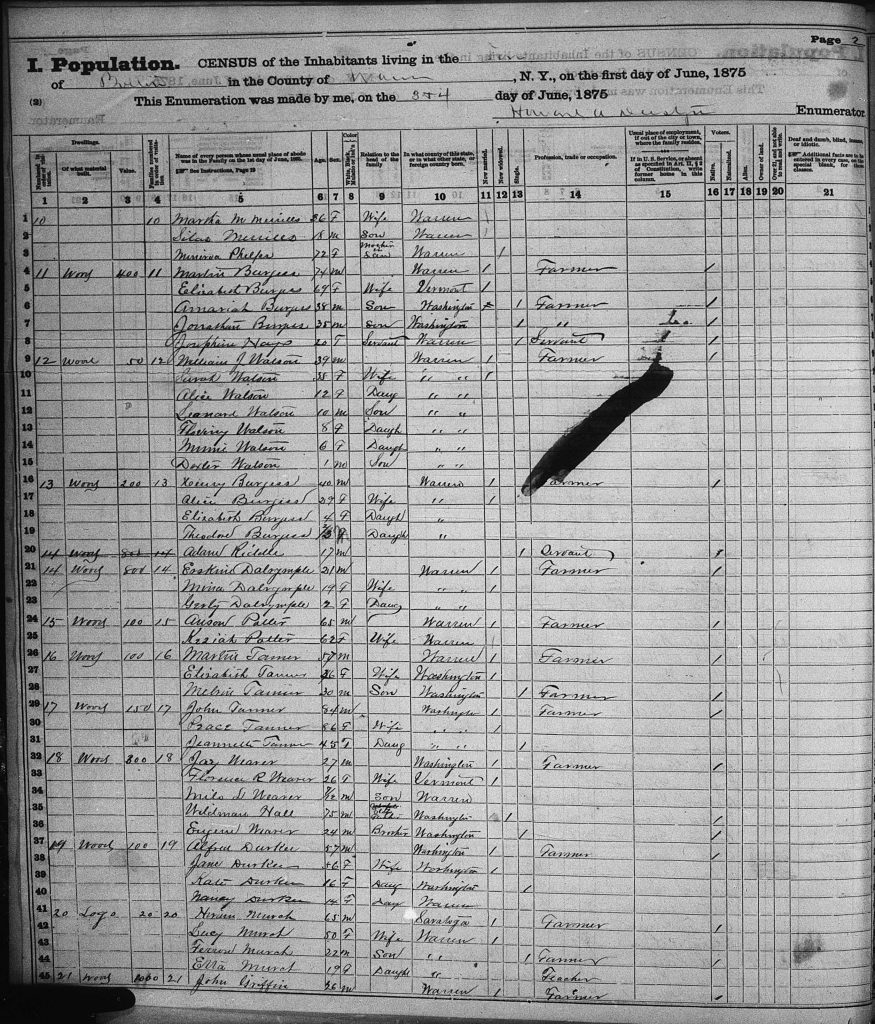 1875 New York census image copy